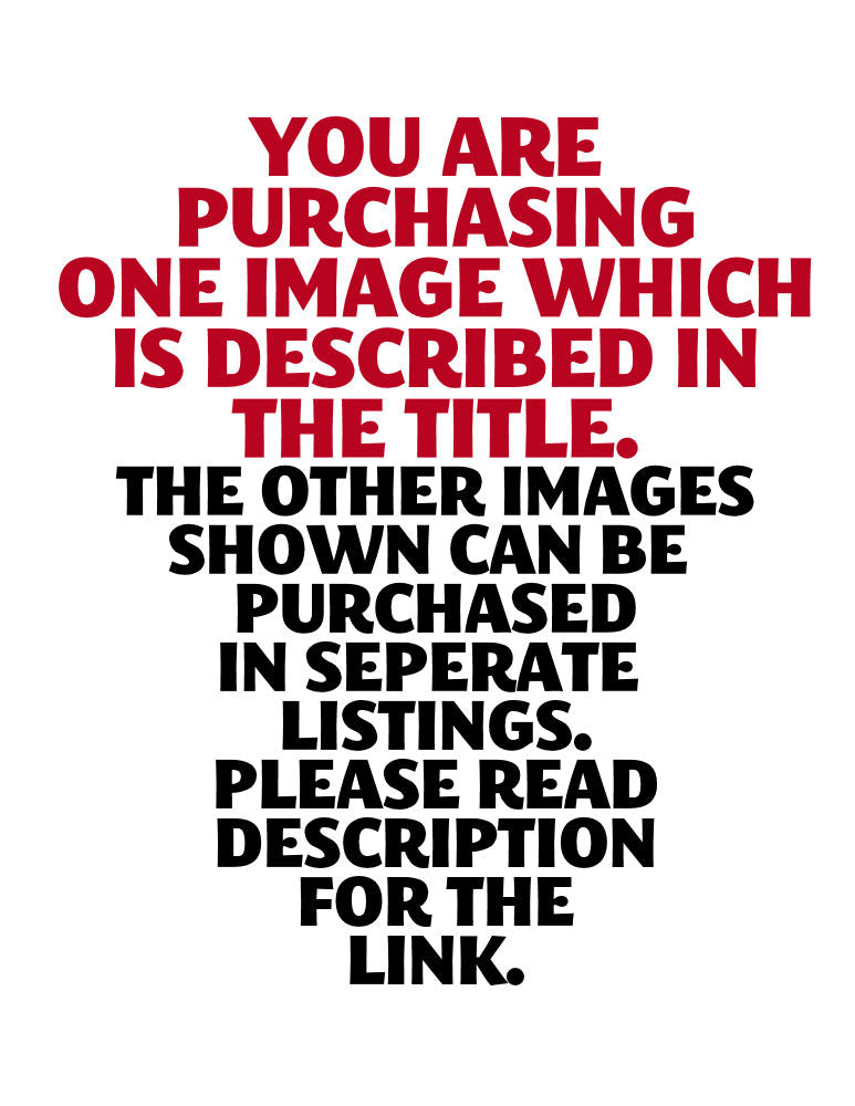 Belle I am a princess my Father is the King of Kings PNG Digital Download